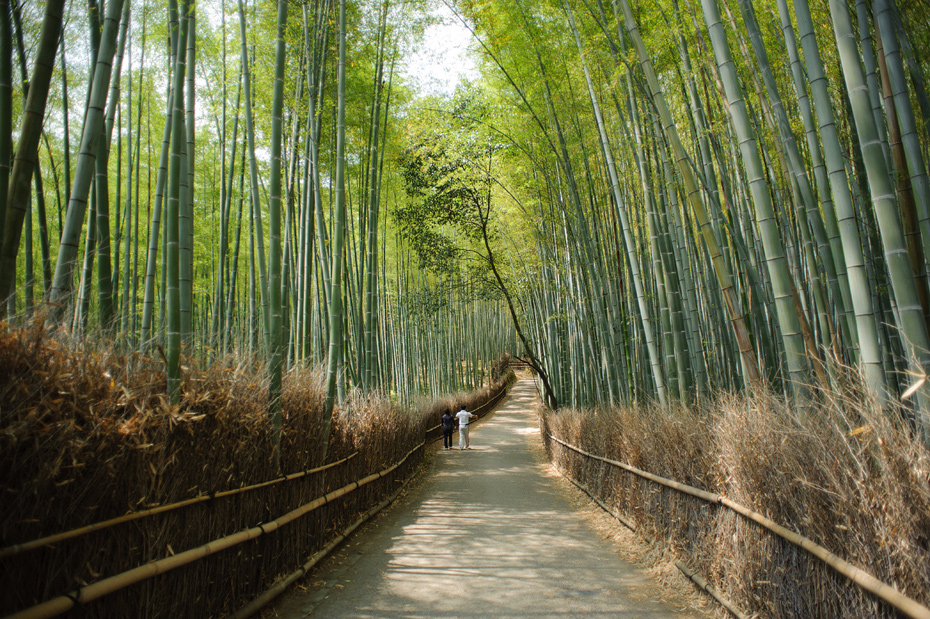 Japan – Part III