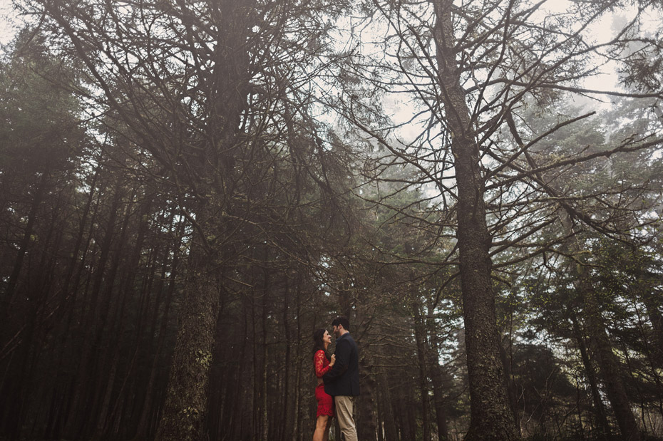 Foggy Engagement Photos