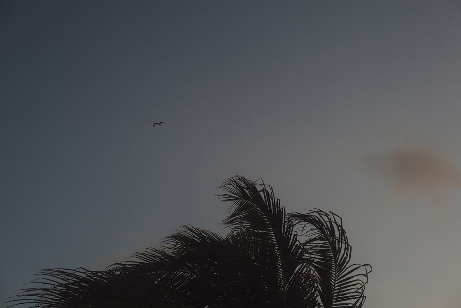 Mexico Destination Wedding